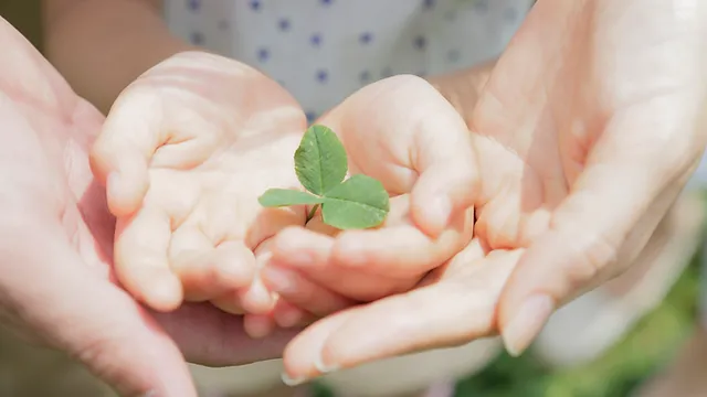 【理学療法士／作業療法士／言語聴覚士／栃木市】 [nil]　訪問看護リハビリステーションＴＳＵＮＡＧＵ（Ｃｏｃｏｒｏ合同会社）　(正社員)の画像2